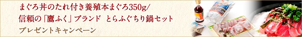 長崎県松浦市にふるさと納税でまぐろ丼のたれ付き養殖本まぐろ350g／信頼の「鷹ふく」ブランド　とらふぐちり鍋セットプレゼントキャンペーン
