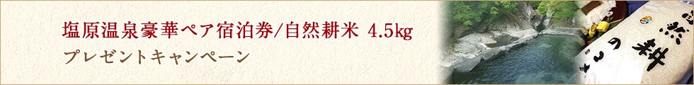 栃木県那須塩原市にふるさと納税で塩原温泉豪華ペア宿泊券、自然耕米　4.5kgプレゼントキャンペーン