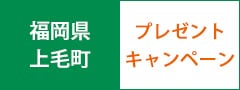 叶え屋厳選九州産和牛セット（豊後牛肩ロースすき焼き1kg） プレゼントキャンペーン