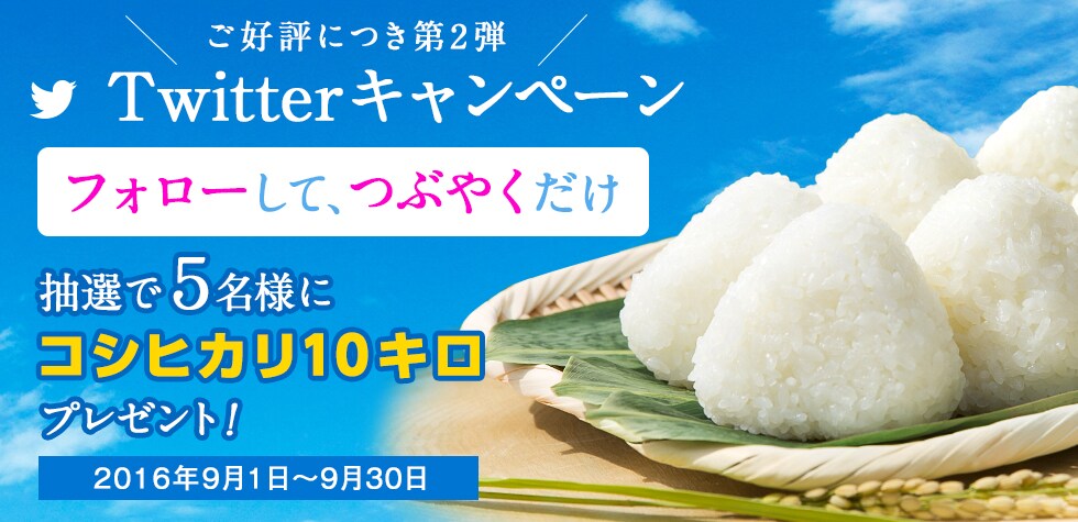 Twitterでフォローしてつぶやくだけ・抽選で5名様にコシヒカリ10キロをプレゼント・Twitterキャンペーン