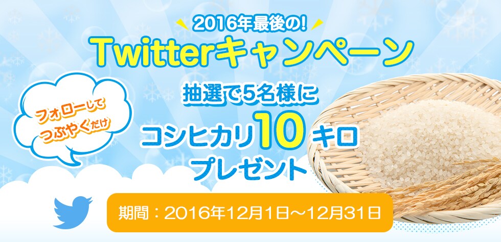 2016年最後の！Twitter キャンペーン