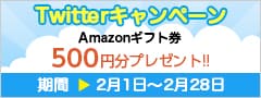 Twitterキャンペーン