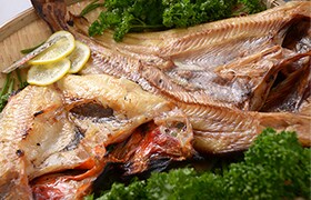 貴重な「釣りキンキ」のお礼品を新たに提供開始