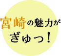 宮崎の魅力がぎゅっ！