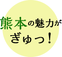 熊本の魅力がぎゅっ！