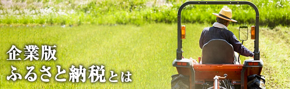企業版ふるさと納税とは
