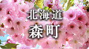北海道森町