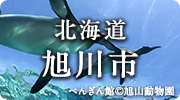 北海道旭川市