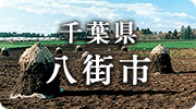 千葉県八街市