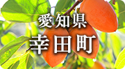 愛知県幸田町