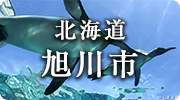 北海道旭川市