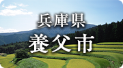 兵庫県養父市