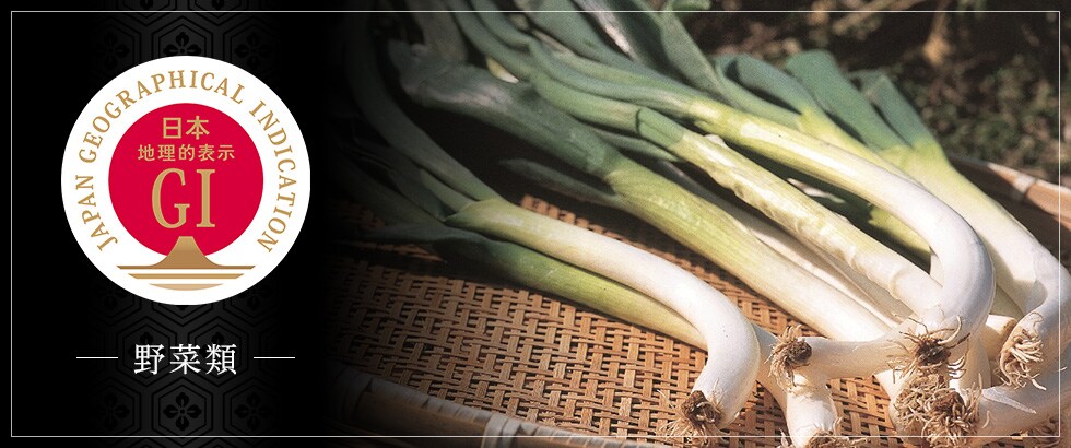 【野菜類】地理的表示（GI）保護制度に登録されたお礼品