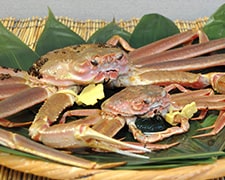 魚介類