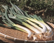 野菜類