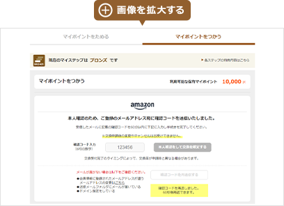 画像を拡大する
