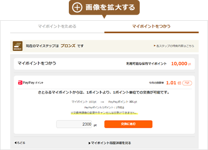 画像を拡大する
