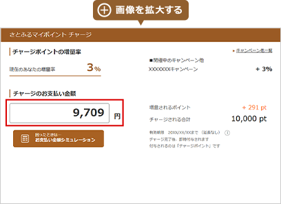 画像を拡大する
