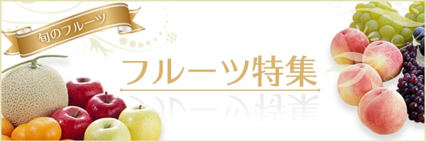 リンクボタン：ふるさと納税 フルーツ（果物）特集