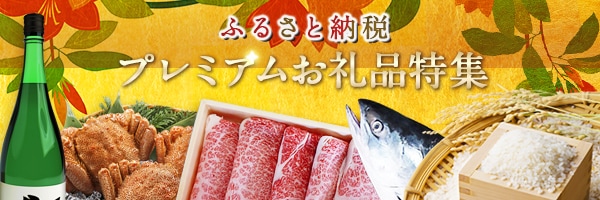 リンクボタン：ふるさと納税 プレミアムお礼品特集