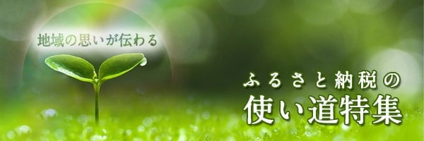 リンクボタン：▼▽地域を元気にする「ふるさと納税」の使い道特集▽▼