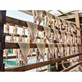鰺ヶ沢町（青森県）のふるさと納税のお礼品