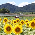 赤井川村（北海道）のふるさと納税のお礼品