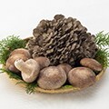 安中市（群馬県）のふるさと納税のお礼品