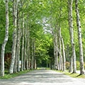 厚沢部町（北海道）のふるさと納税のお礼品