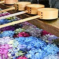 一宮市(愛知県)のふるさと納税のお礼品