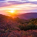 富岡市（群馬県）のふるさと納税のお礼品