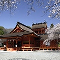 富士宮市（静岡県）のふるさと納税のお礼品