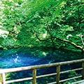 深浦町（青森県）のふるさと納税のお礼品