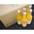 蒲郡市（愛知県）のふるさと納税のお礼品
