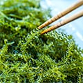 宜野座村（沖縄県）のふるさと納税のお礼品