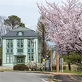行田市(埼玉県)のふるさと納税のお礼品