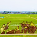 八郎潟町(秋田県)のふるさと納税のお礼品