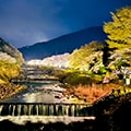 箱根町(神奈川県)のふるさと納税のお礼品
