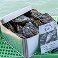 東広島市（広島県）のふるさと納税のお礼品