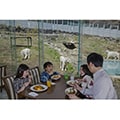 東伊豆町（静岡県）のふるさと納税のお礼品