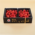 東根市（山形県）のふるさと納税のお礼品