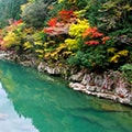 東白川村（岐阜県）のふるさと納税のお礼品
