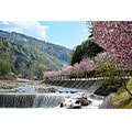 檜枝岐村（福島県）のふるさと納税のお礼品