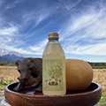 飯島町（長野県）のふるさと納税のお礼品
