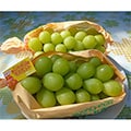 飯山市（長野県）のふるさと納税のお礼品
