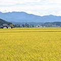 井川町（秋田県）のふるさと納税のお礼品