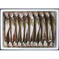 岩美町（鳥取県）のふるさと納税のお礼品