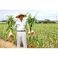 神栖市（茨城県）のふるさと納税のお礼品