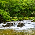 葛尾村（福島県）のふるさと納税のお礼品