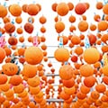 香春町（福岡県）のふるさと納税のお礼品